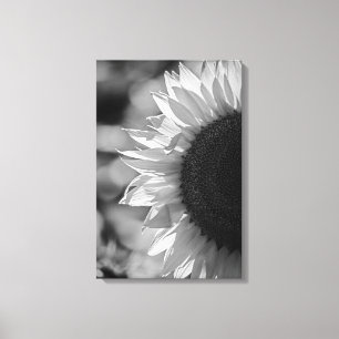 Canvasprint Zonnebloem Op Het Veld BW Canvas Afdruk