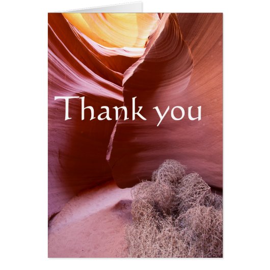 Canyon aux multiples couleurs, merci (Devant)