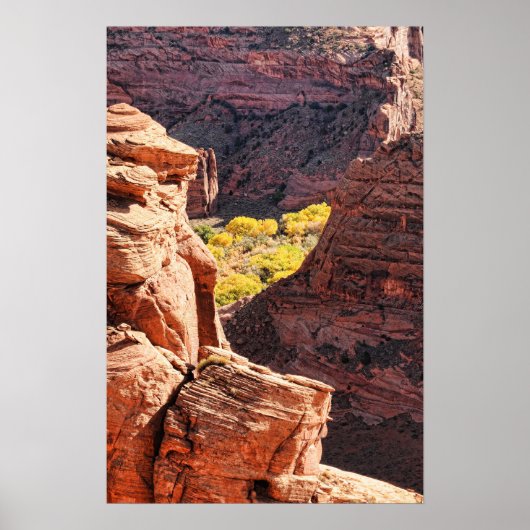 Canyon de Chelly Poster (Voorkant)