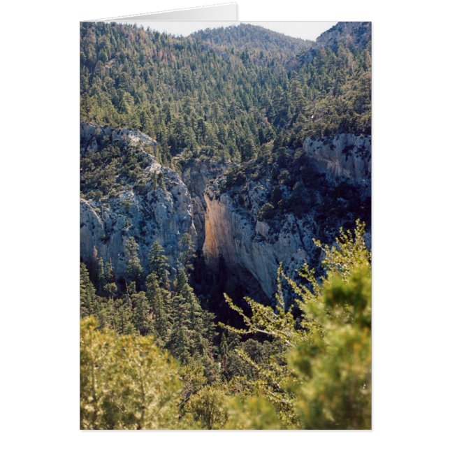 Canyon of Light (Voorkant)