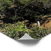 Canyon Overlook Poster (Hoek)