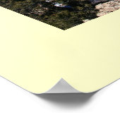 Canyon Perspective Poster (Hoek)