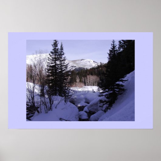 Canyon Snow Poster (Voorkant)