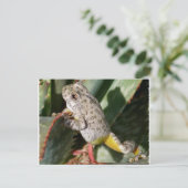 CANYON TREEFROG BRIEFKAART (Staand voorkant)