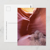 Canyon van vele kleuren briefkaart (Voorkant / Achterkant)