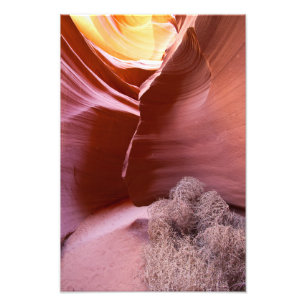Canyon van vele kleuren foto afdruk