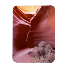 Canyon van vele kleuren magneet