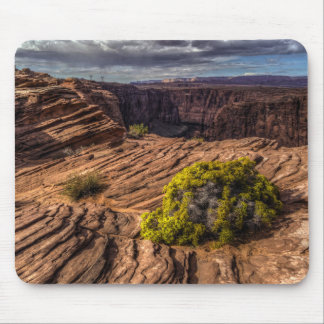 Canyon Weerstandsvermogen Muismat