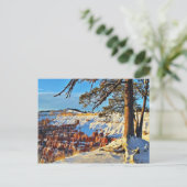 Canyon Winter Snow Pine Trees Utah Briefkaart (Staand voorkant)