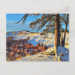 Canyon Winter Snow Pine Trees Utah Briefkaart
