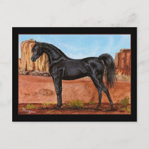 Canyon Wonder Arabe cheval carte postale