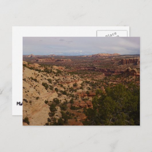 Canyonlands Uitzicht van Neck Springs Trail Briefkaart (Voorkant / Achterkant)