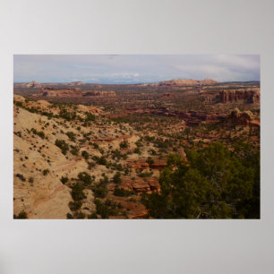 Canyonlands Uitzicht van Neck Springs Trail Poster