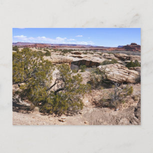 Canyonlands Uitzicht vanaf Cave Springs Trail Briefkaart