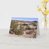 Canyonlands Uitzicht vanaf Cave Springs Trail Kaart (Gele Bloem)