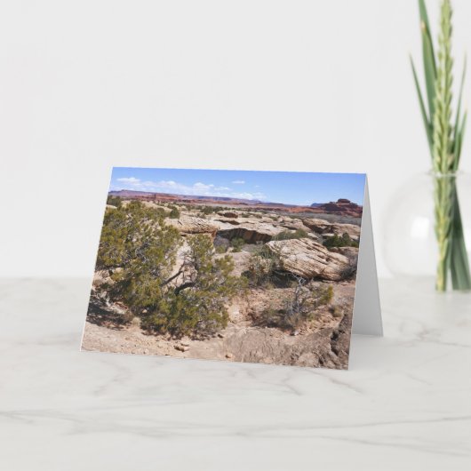 Canyonlands Uitzicht vanaf Cave Springs Trail Kaart (Voorkant)