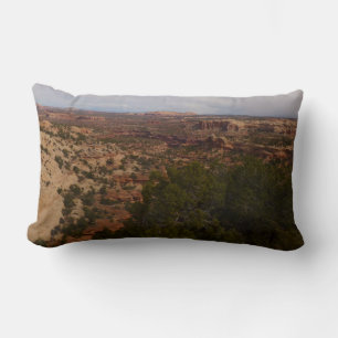 Canyonlands uitzicht vanaf Neck Springs Trail Kussen
