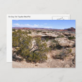 Canyonlands View from Cave Springs Trail Briefkaart (Voorkant / Achterkant)