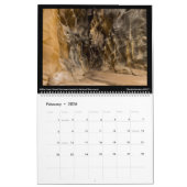 Canyonscapes Agenda 2022 Kalender (Feb 2026)
