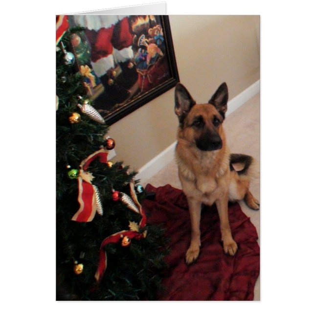 cão de pastor alemão de Natal (Voorkant)