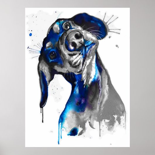 Cão em Azul Poster (Voorkant)