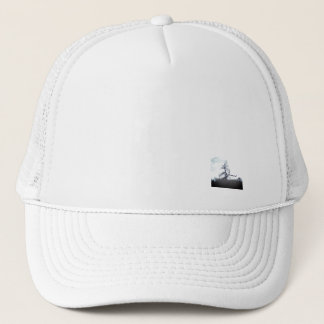 CAP KUNST- EN ONTWERPSTIJL TRUCKER PET