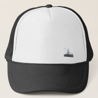 CAP KUNST- EN ONTWERPSTIJL TRUCKER PET