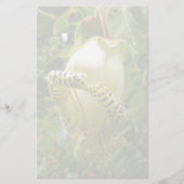 Capanea grandiflora briefpapier (Voorkant)