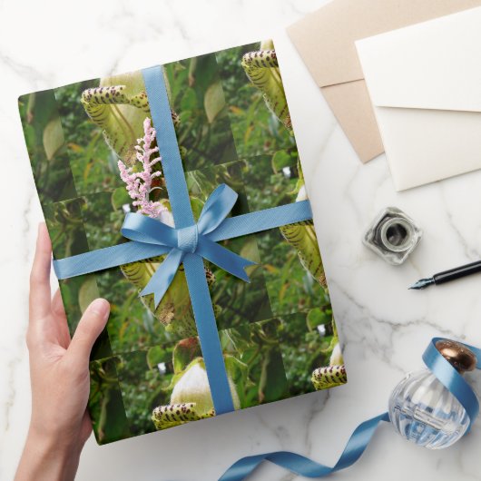 Capanea grandiflora cadeaupapier (Geschenken)