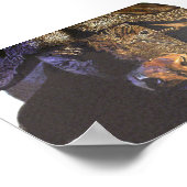 Cape Buffalo Poster (Hoek)