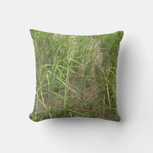 Cape Cod Beach Grass Outdoor Kussen