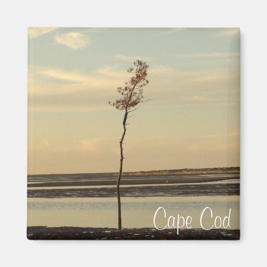 Cape Cod Beach Relaxant Sunset Photo Magnet (Devant)