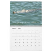 Cape Cod, Calendrier de masse 2017 (Jan 2026)