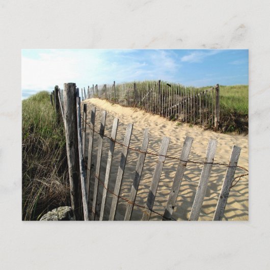 Cape Cod Dunes Briefkaart (Voorkant)
