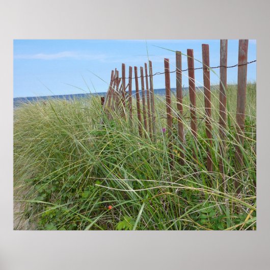 Cape Cod Dunes Poster (Voorkant)