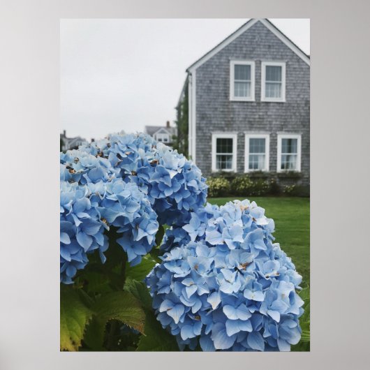 Cape Cod Hydrangea Home Poster (Voorkant)