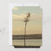 Cape Cod Lone Tree on Beach Mariage Invitations (Dos)