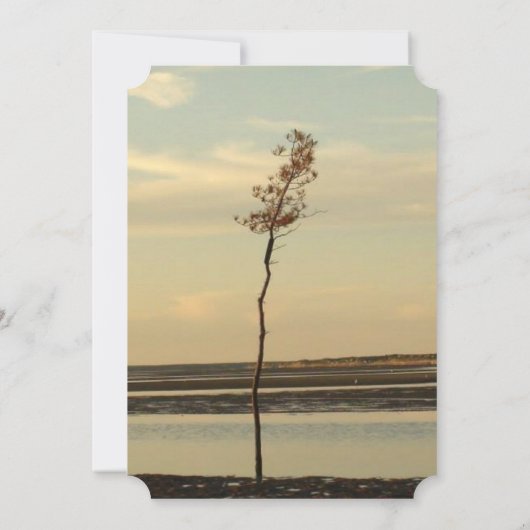 Cape Cod Lone Tree on Beach Mariage Invitations (Dos)