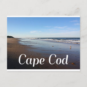 Cape Cod, Massachusetts Nauset Beach Carte postale