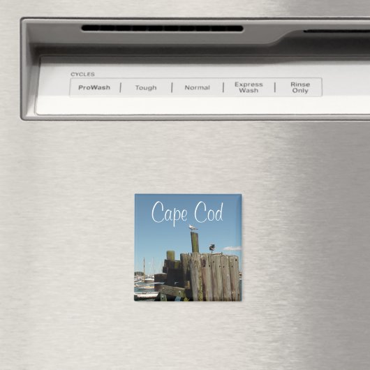 Cape Cod, Massachusetts Sunset souvenir Magnet (In Situ (Lave-vaisselle))