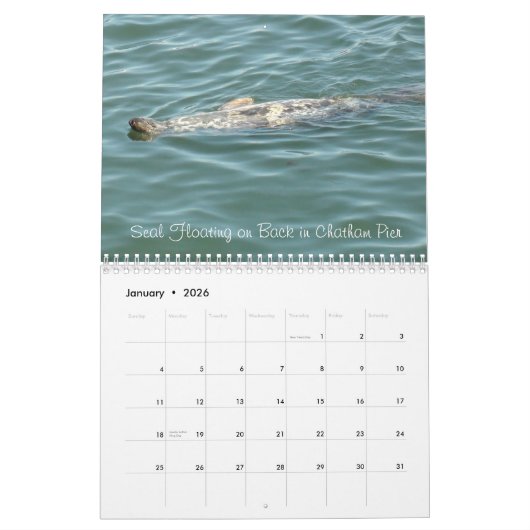 Cape Cod, massakalender Kalender (Jan 2026)