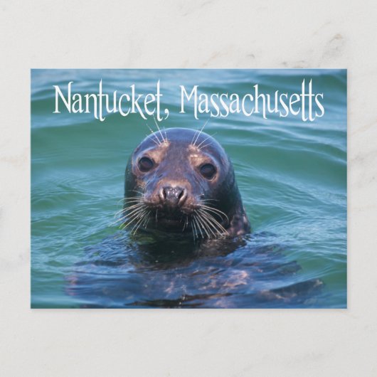 Cape Cod, Nantucket, Massachusetts Seal Briefkaart (Voorkant)