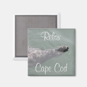 Cape Cod, Phoque flottant relaxant  Aimant (Recto/Verso)