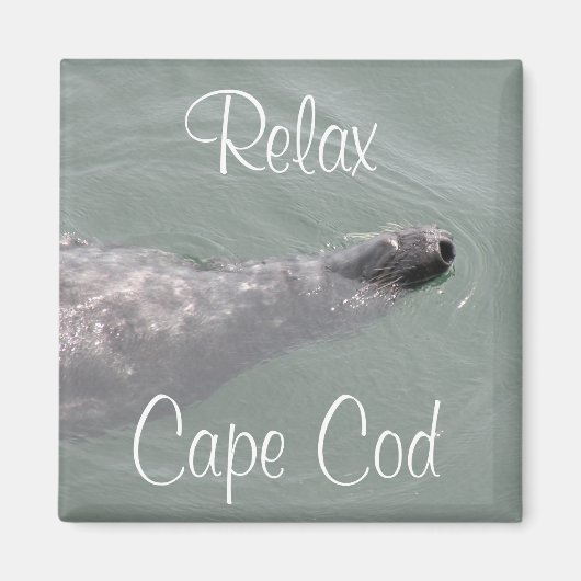Cape Cod, Phoque flottant relaxant  Aimant (Devant)