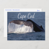 Cape Cod, Provincetown Massachusetts Briefkaart (Voorkant / Achterkant)