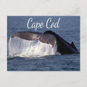 Cape Cod, Provincetown Massachusetts Carte postale