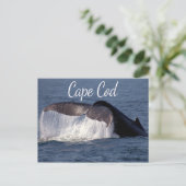 Cape Cod, Provincetown Massachusetts Carte postale (Debout devant)