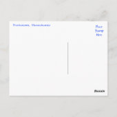 Cape Cod, Provincetown Massachusetts Carte postale (Dos)