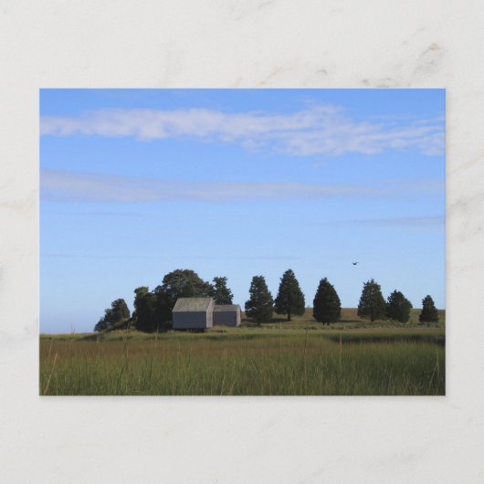 Cape Cod Salt Marsh Briefkaart (Voorkant)