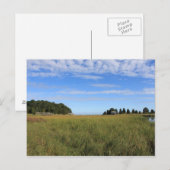 Cape Cod Salt Marsh Briefkaart (Voorkant / Achterkant)